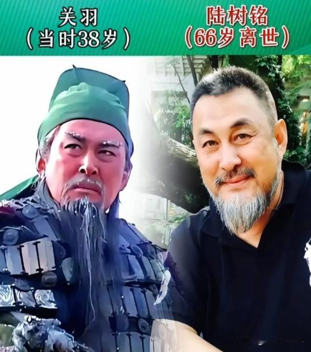 看了94版《三国演义》这些演员的生平，才发现有人演活了经典，却英年早逝一部《