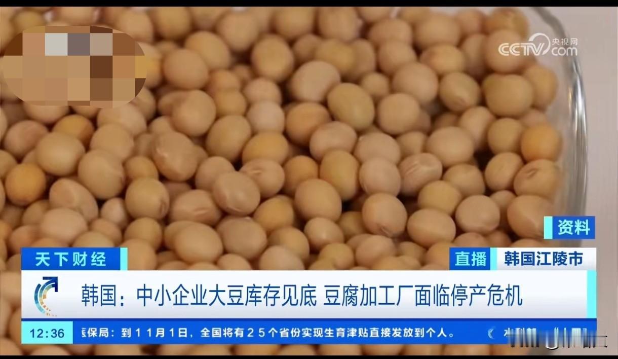 韩国人要吃不上豆腐了！大豆告急工厂停摆，换国产还嫌贵韩国人最近慌了，就因为