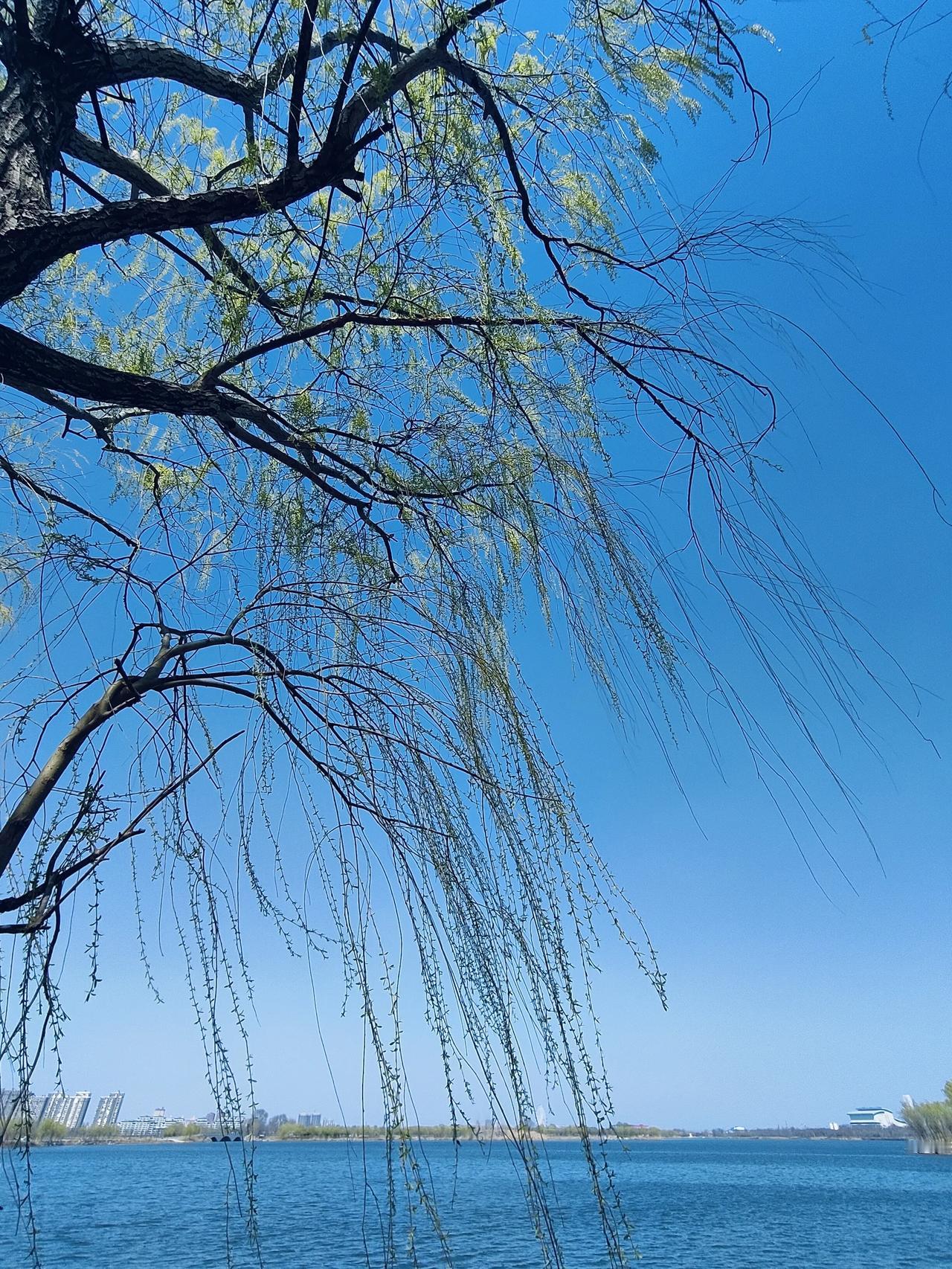 物理难度降低了，你也不见得能考上大学。高中物理那么难，根源在于选物理的人太多了