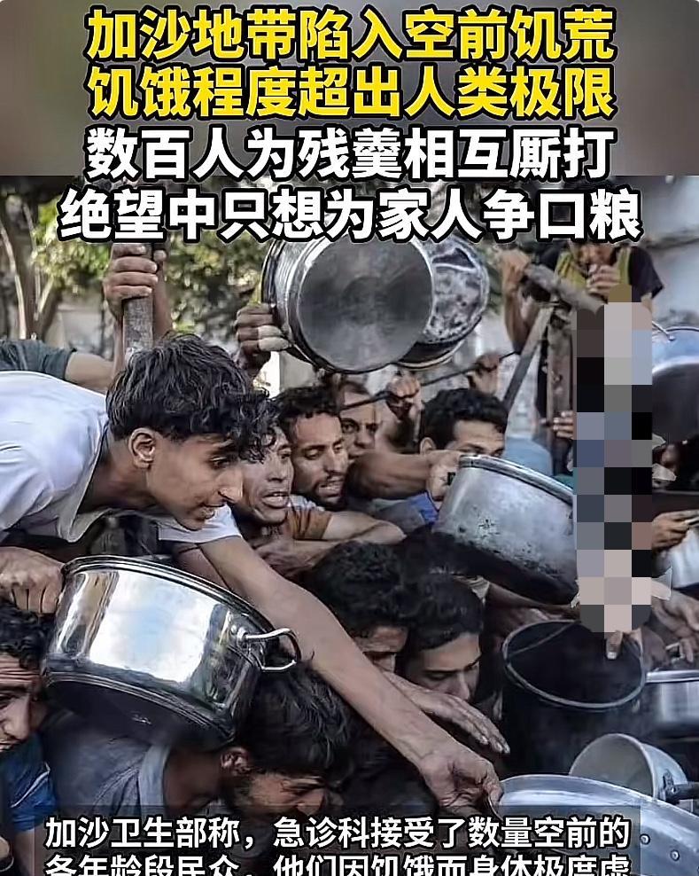 加沙的饥荒现状太令人惊讶。联合国世界粮食计划署宣布，因以色列封锁，加沙所有其支持