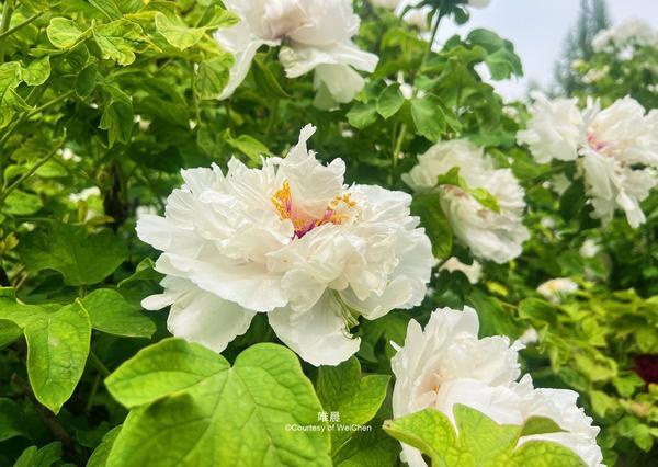 半生操劳才懂：人生最后能依靠的，从来只有自己近期一篇关于人生终极陪伴的文章