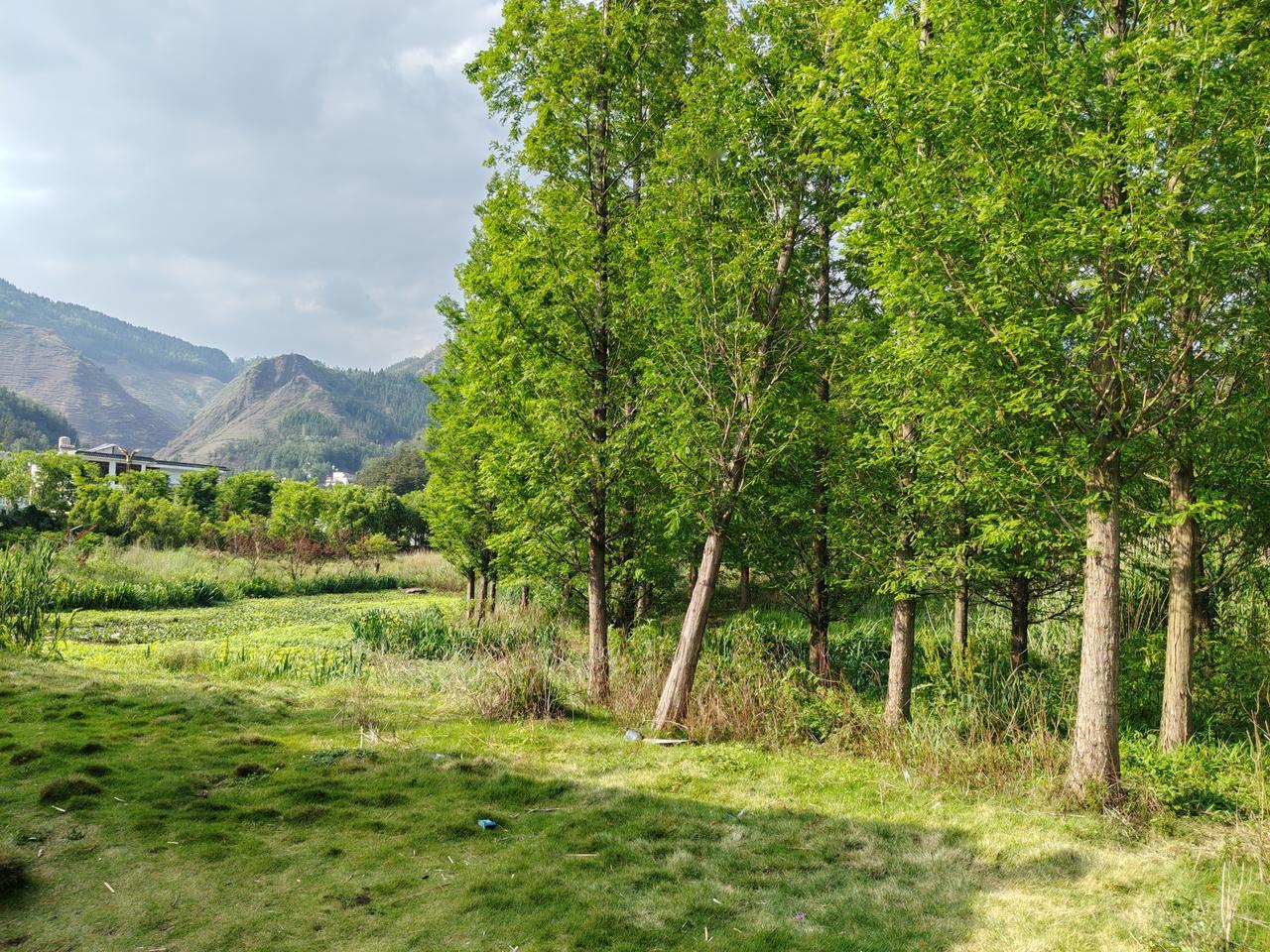 如何找到自己的交易模式？其实很简单，就是在操作的过程中，不断去试错，在复盘的过程