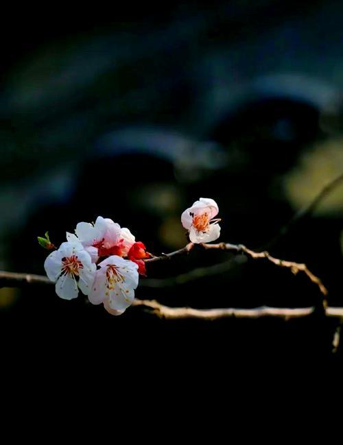  牢记鬼谷子这3条处世之道，护身防坑，没人敢算计你！鬼谷子的智慧流传千年，