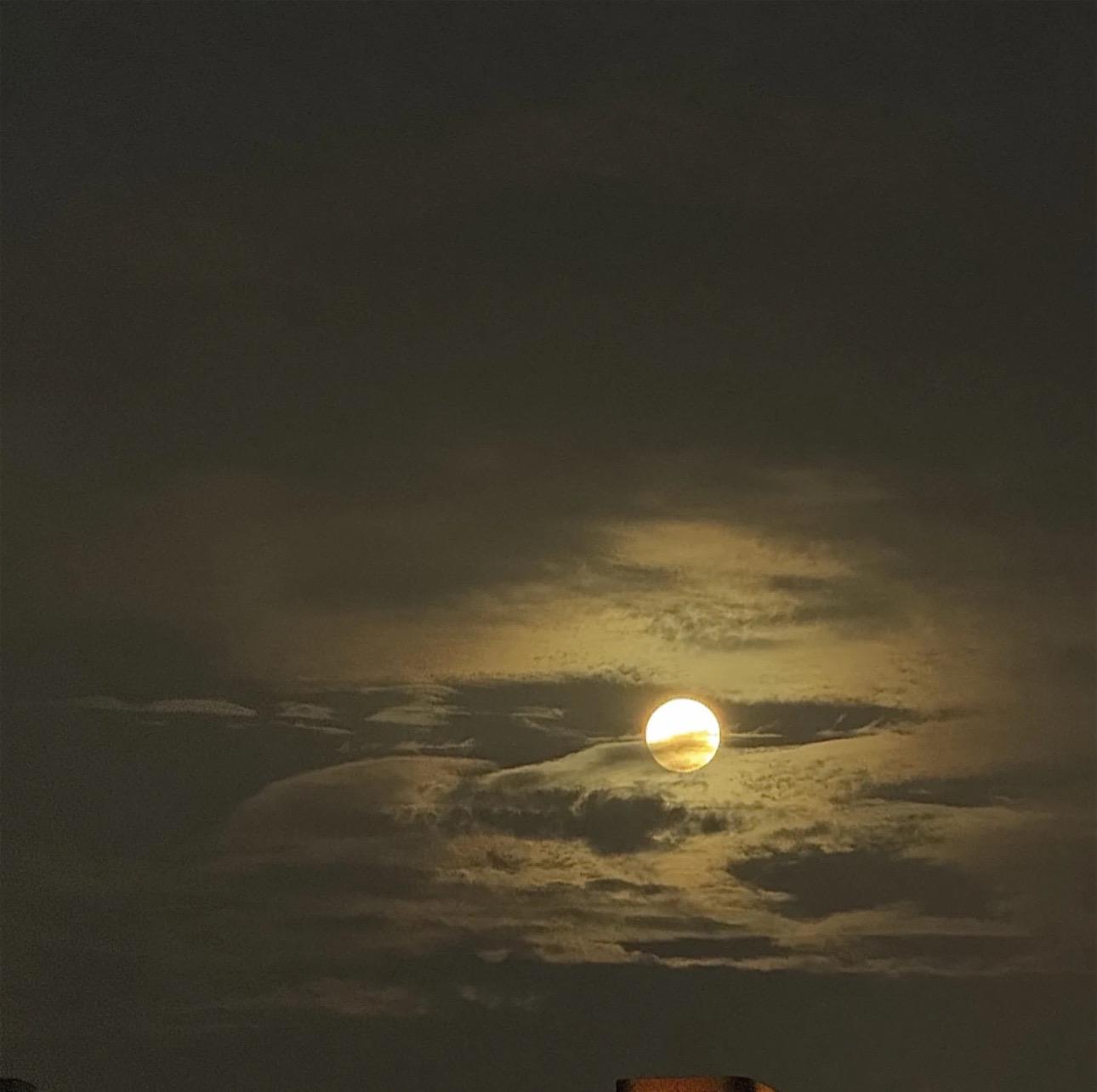 或许只有月亮才知道我在想什么🌙