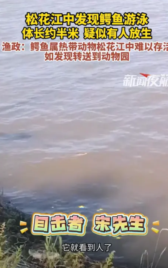 “无知真可怕！”黑龙江哈尔滨，一男子在松花江边散步时，突然听到“扑通”一声，好像