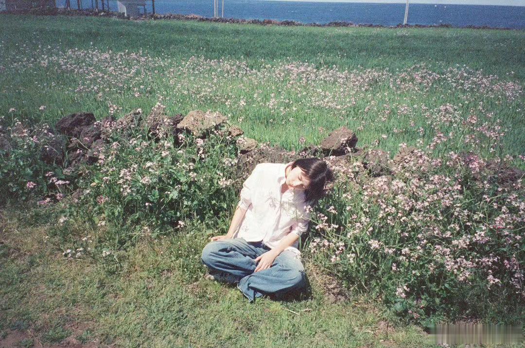 「淡淡的夏天🎞️」摄影：