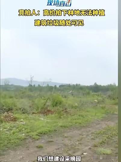 山东，男子拍下一块地，137亩，租金一亩一年980元，他要种果树建设采摘园，可他