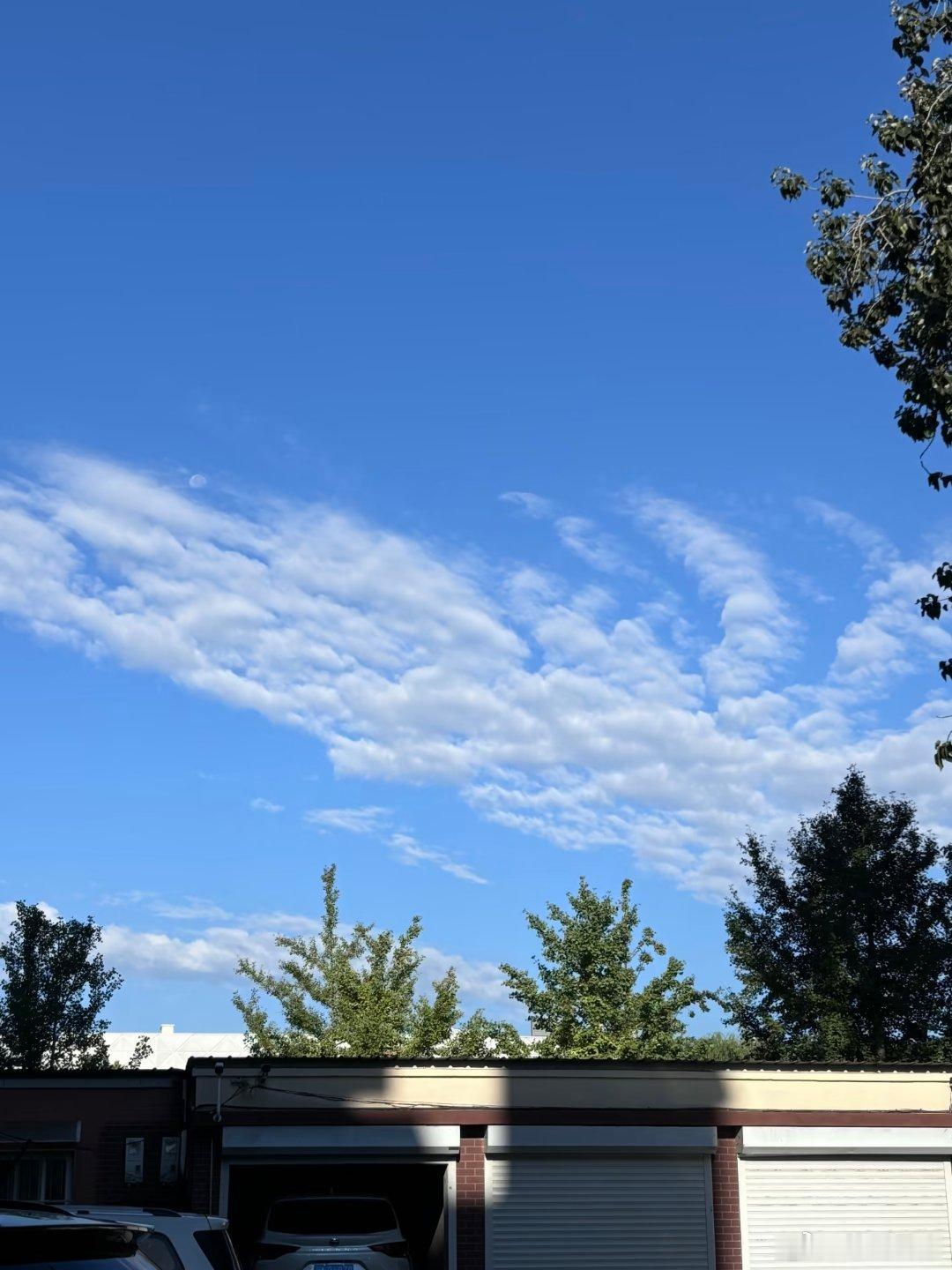 微博科学抗敏行动过敏和普通感冒怎么区分你听说过血管运动性鼻炎吗？鼻炎不是一种病，而是一类症状的总称。