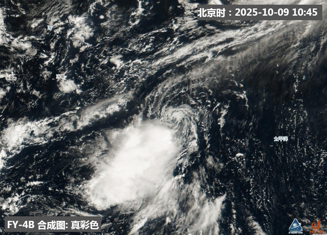 从云图看，台风娜基莉的低空环流和核心对流分离，说明垂直风切变较大。这也使得台风难
