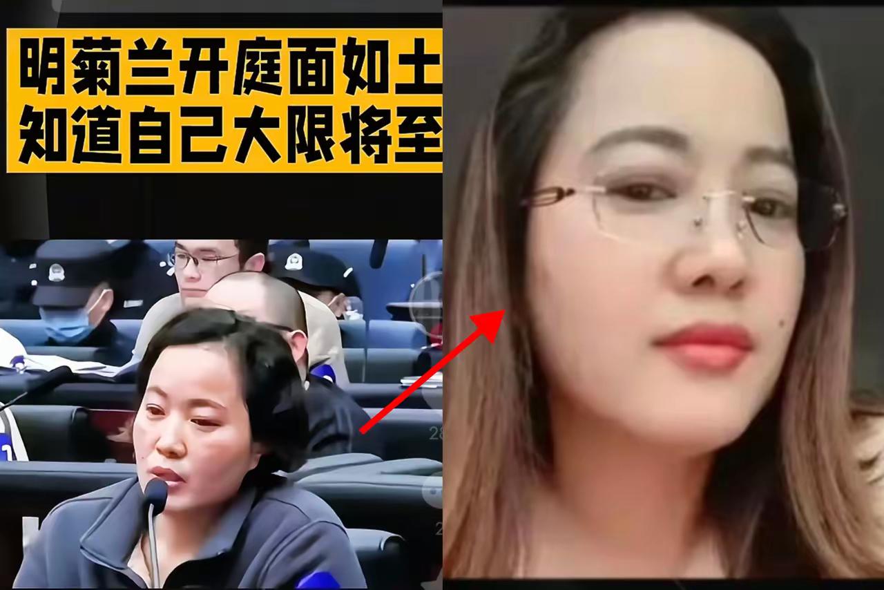 明菊兰在法庭上哭得撕心裂肺，但她的泪，是为自己，还是为那数十亿背后的受害者？四年