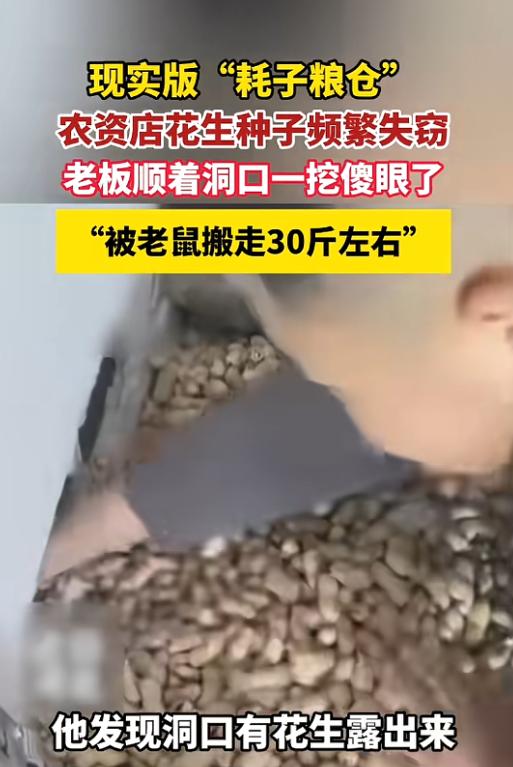 “这下傻眼了！”4月26日报道，河北唐山，一名男子经营着一家农资门店，近期他频繁