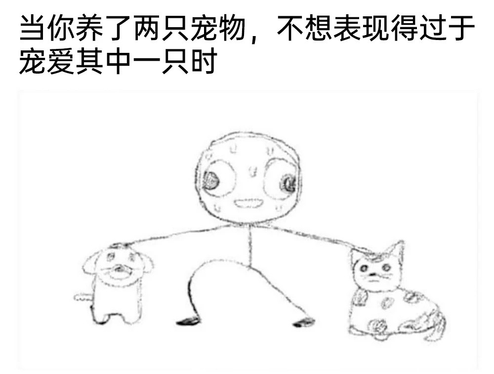 我就这样一碗水端平🥣memes*