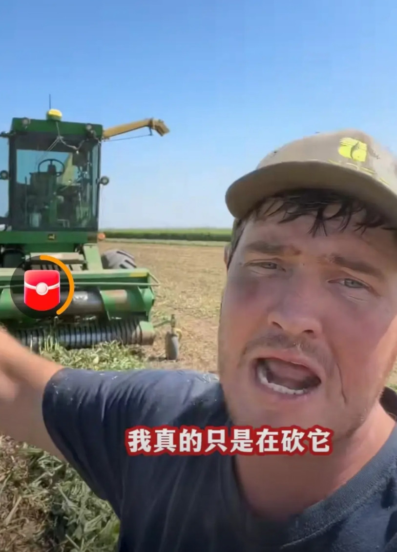 事实证明:关税战没有赢家，搞脱购断链是不可取的！美国制裁中国，中国反制美国那是客
