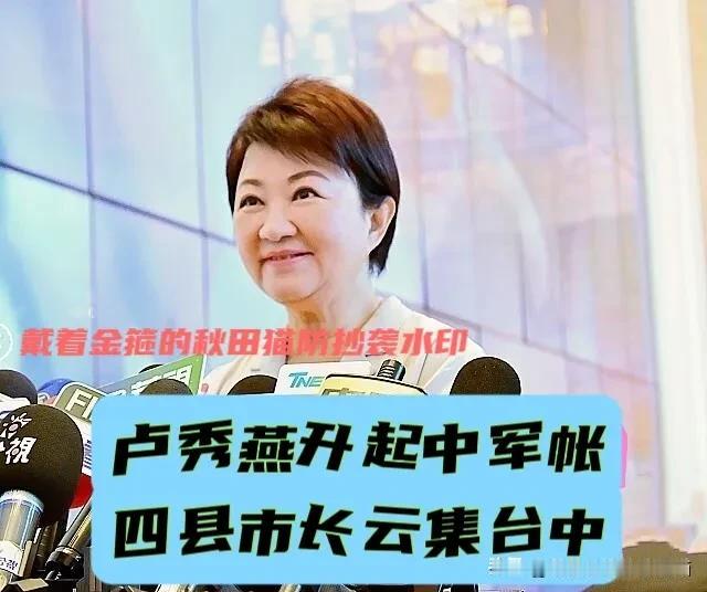 卢秀燕坐镇中军帐！蒋万安、谢国梁、张丽善奔赴台中，蓝营四县市长闭门共商毒油案～