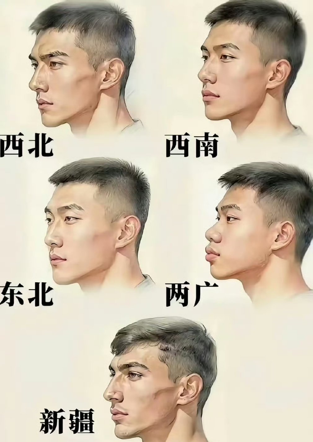 全国男性的头部特征