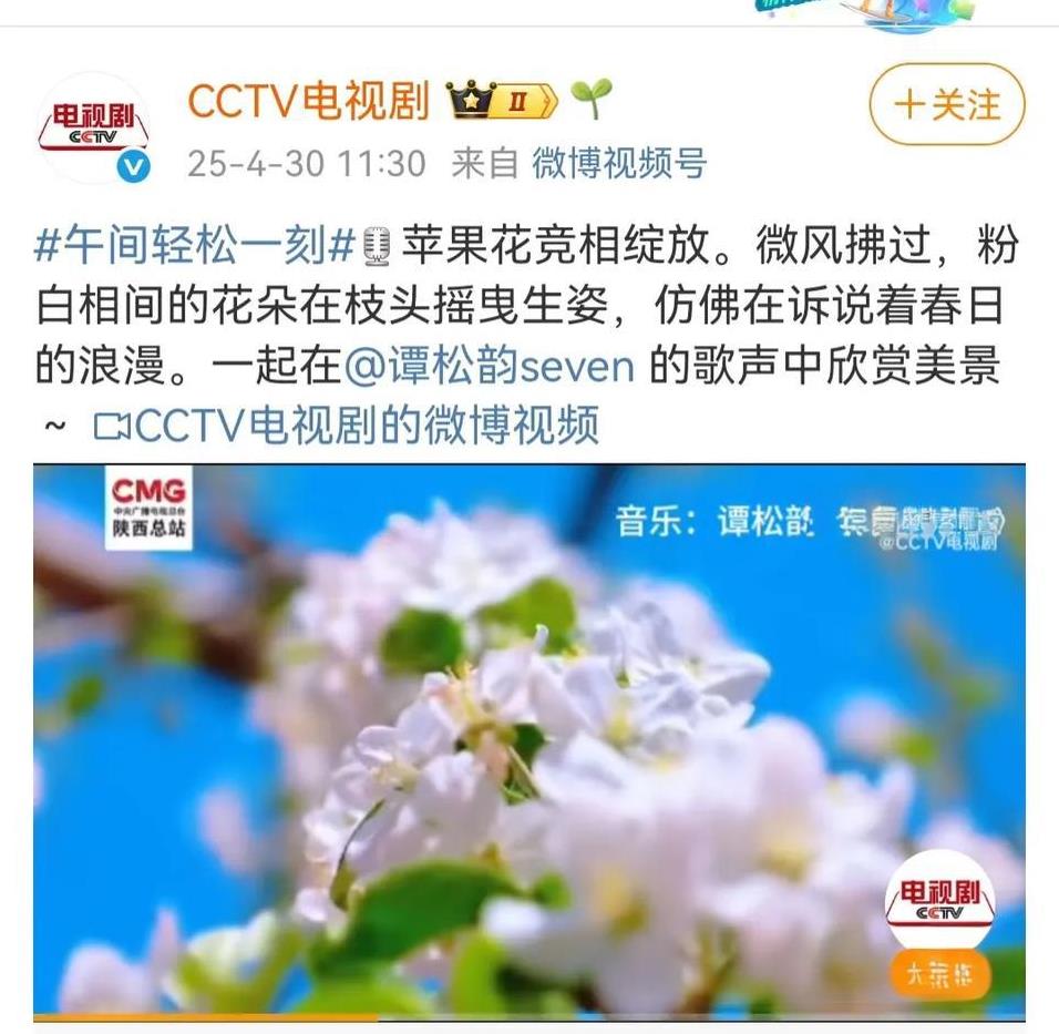 好家伙，不看不知道，一看好惊喜啊，央视这么重视我们谭松韵吗？随便在CCTV电视剧