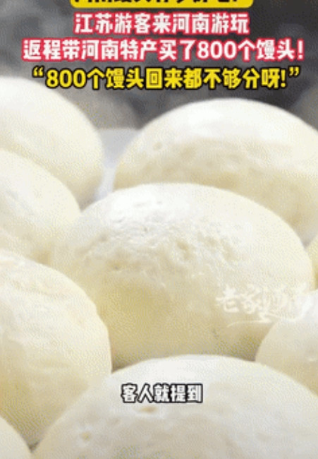馋晕了！2025年江苏一家13口来洛阳旅游，返程前花了400块买了800个馒头，