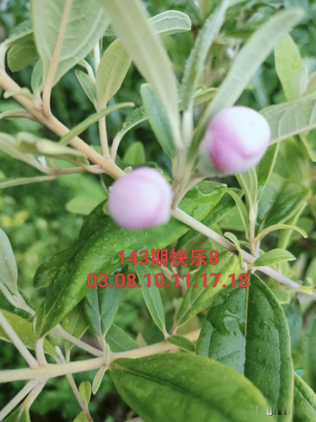 143期快乐8，关注连号。上期开奖连号多，比如05.06.07三连，24.25