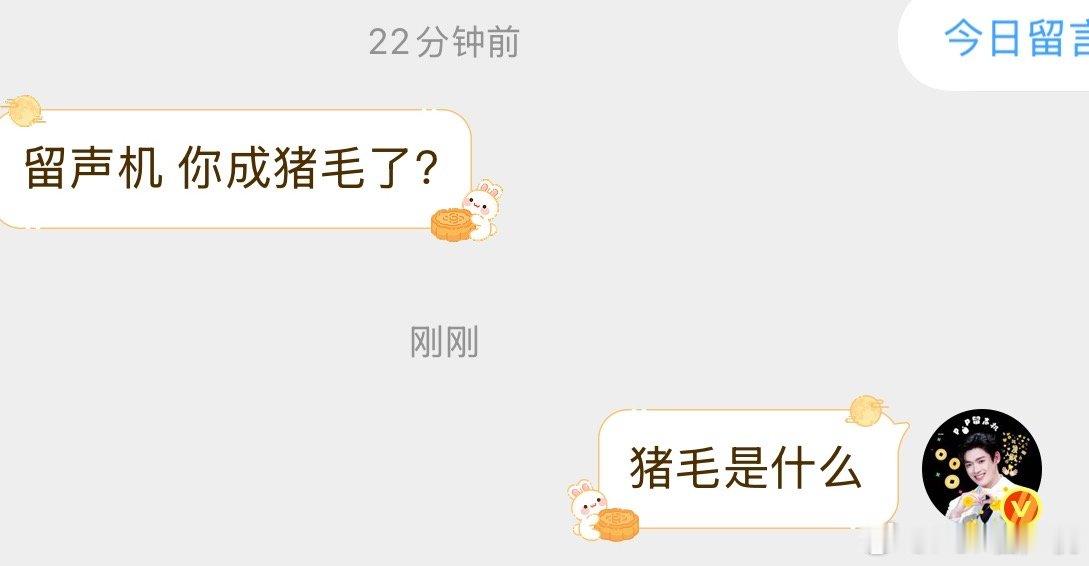 猪毛到底是啥​​​