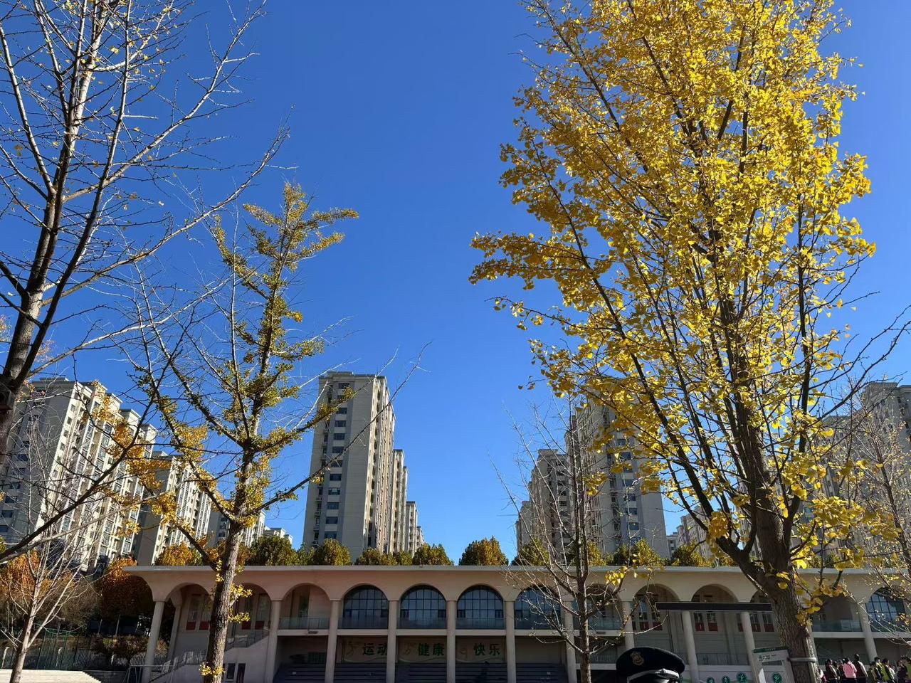 半夜，暖气又停了，还没正式开始供暖，暖气却开始罢工。一大早，小区的便民群