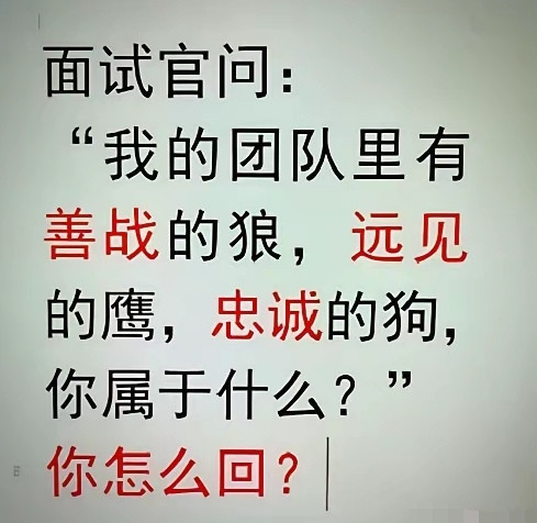 如果说，是驾驭他们的主人，会不会挨打？