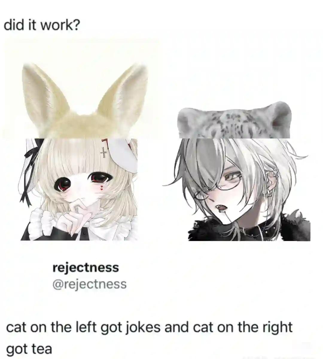 豹豹兔兔@ᅟᅠ梗图