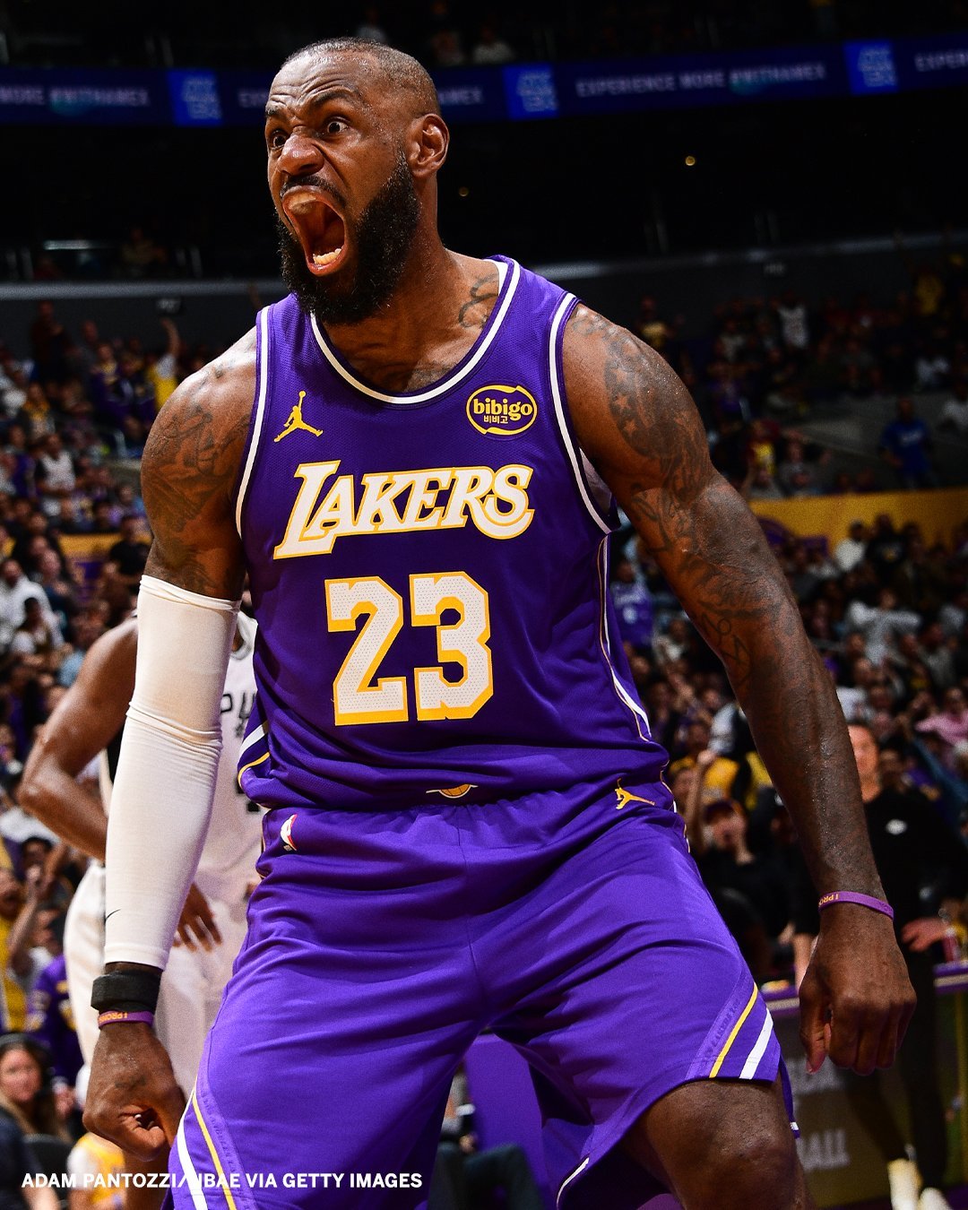 过去3场的詹姆斯，杀回来了！！！——场均24.7分8.3篮板6助攻——防守端1抢