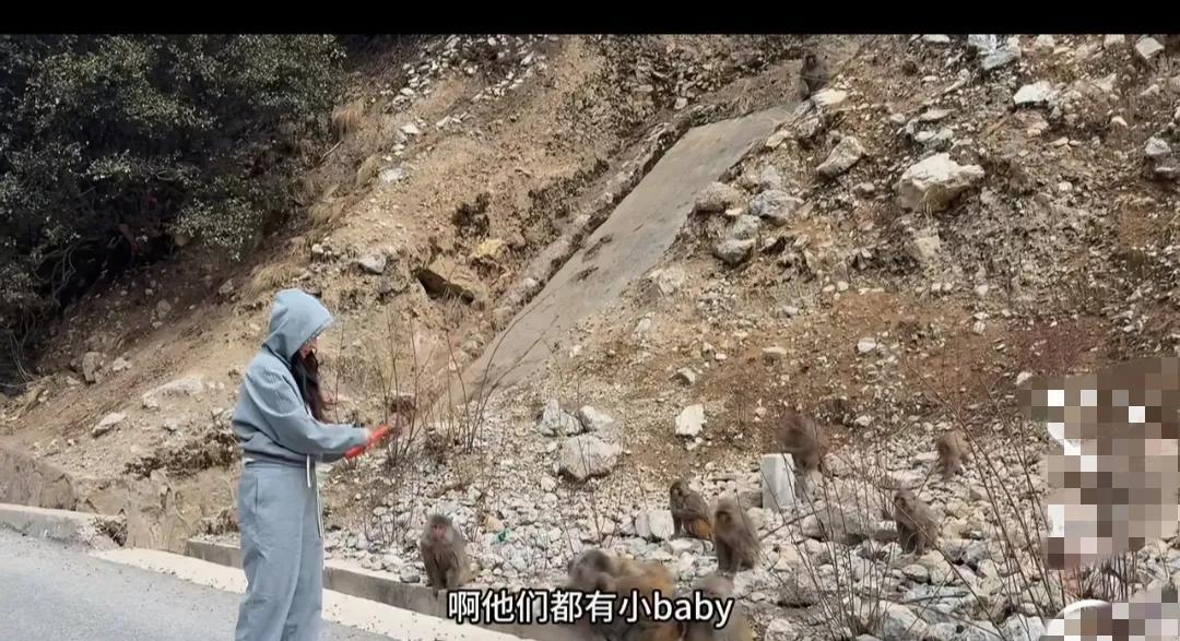 不必羡慕霍思燕的生活！霍思燕去旅游，在山里面，一边喂猴子，一边唱歌“让我们红尘