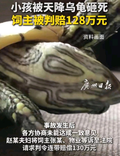 孩子在小区玩耍，突然一个黑影从天而降，不是鸟粪，也不是落叶，而是一只活生生的乌龟