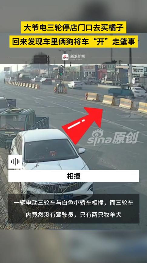 “离了个大谱！”12月7日，黑龙江大庆，一男子开车过路口时，突然有辆三轮车闯红灯