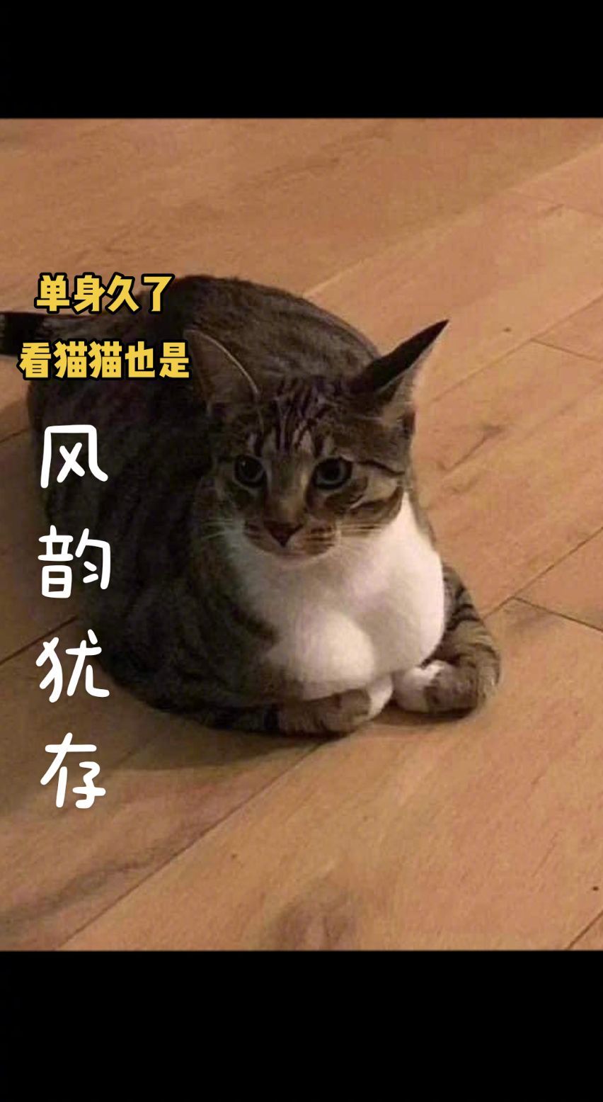你是不是单身久了，😿心思开始变态啦！