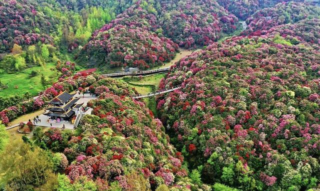 4月旅行天花板! 这些地方美到不像话, 最后一个连本地人都没去过