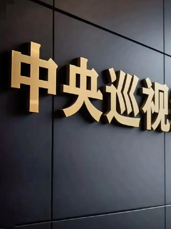 朋友在中央巡视组接访处执勤，亲眼见证了震撼一幕：第一天八百多上访群众，第二天飙升