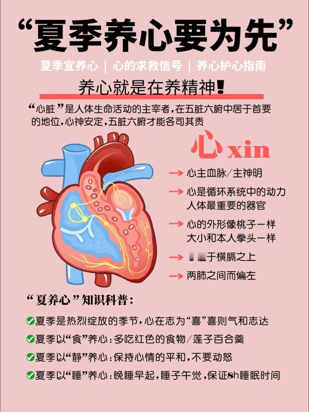 夏季高温养心、调养心神中医实用方法中医讲夏主心，暑气通于心，夏季高温最容易耗心