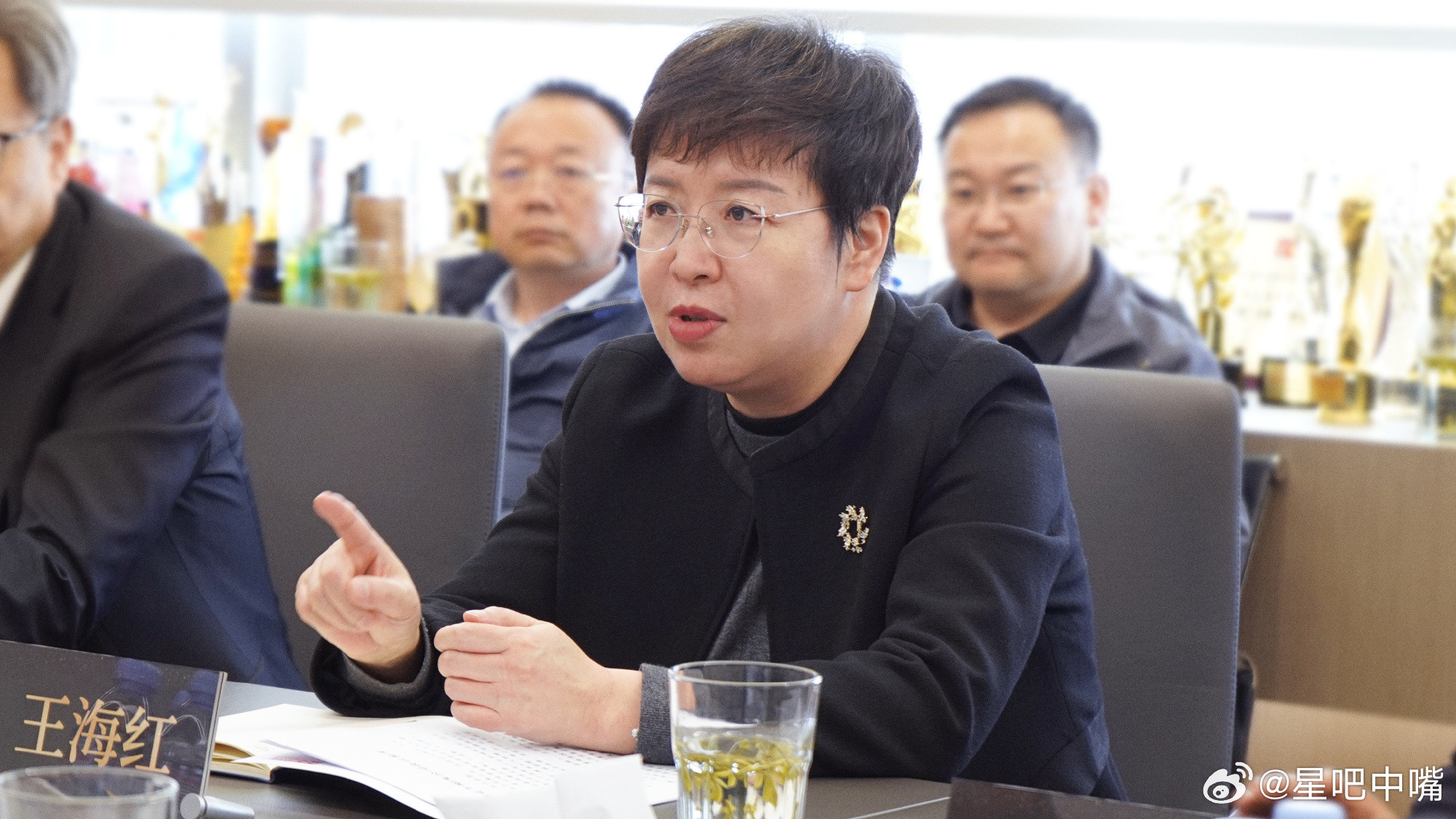 青海省副省长调研正午阳光《生命树》再次被高规格认可！3月30日，青海省副省长王海