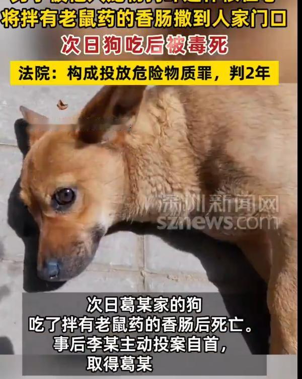 “冲动是魔鬼！”吉林，男子因被邻居家的狗惊吓到了，一怒之下将拌有老鼠药的香肠，撒