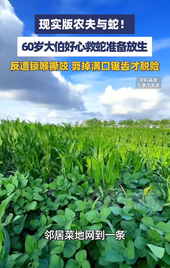 “好心没好报！”7月9日报道，浙江温州，一条蛇被防护网缠住，邻居不敢动，找来一名