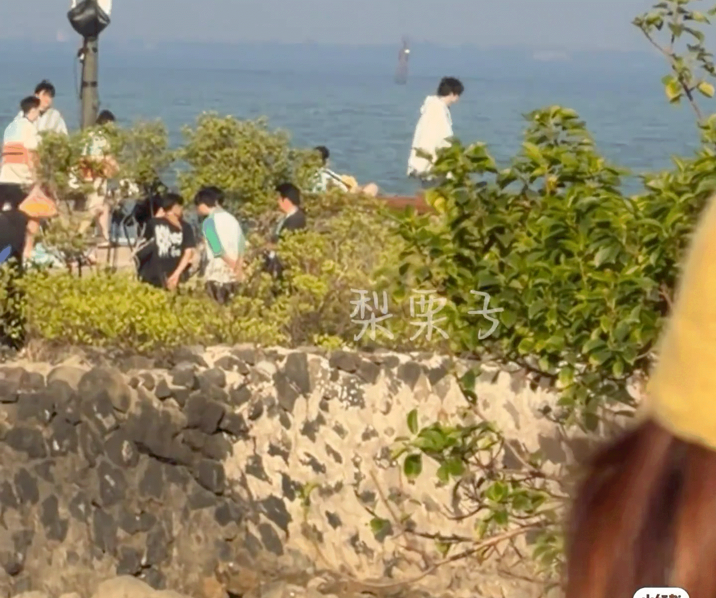 哈哈哈哈哈哈好好好是熟悉的味道