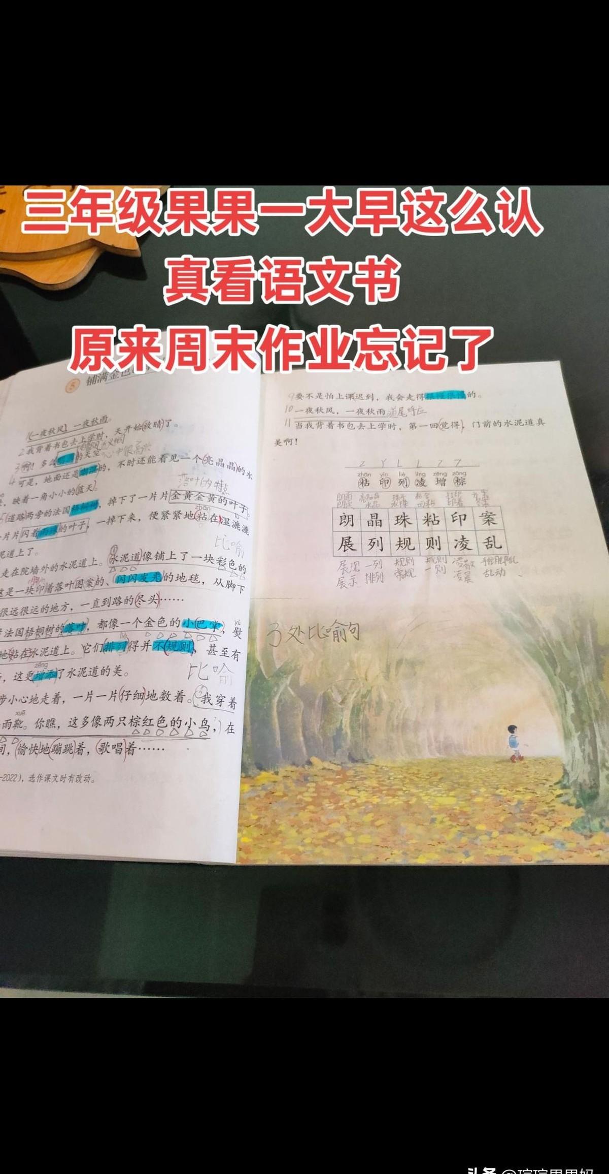 三年级的果果，周一早上七点，全家鸡飞狗跳。不是因为别的，就因为他突然想起来，语