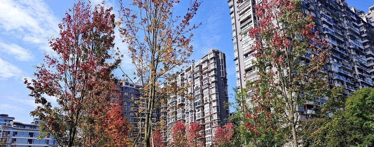 跑马拉松，不用拼速度，先拼食量。乐山马拉松，征服42.195公里后，终点没有奖