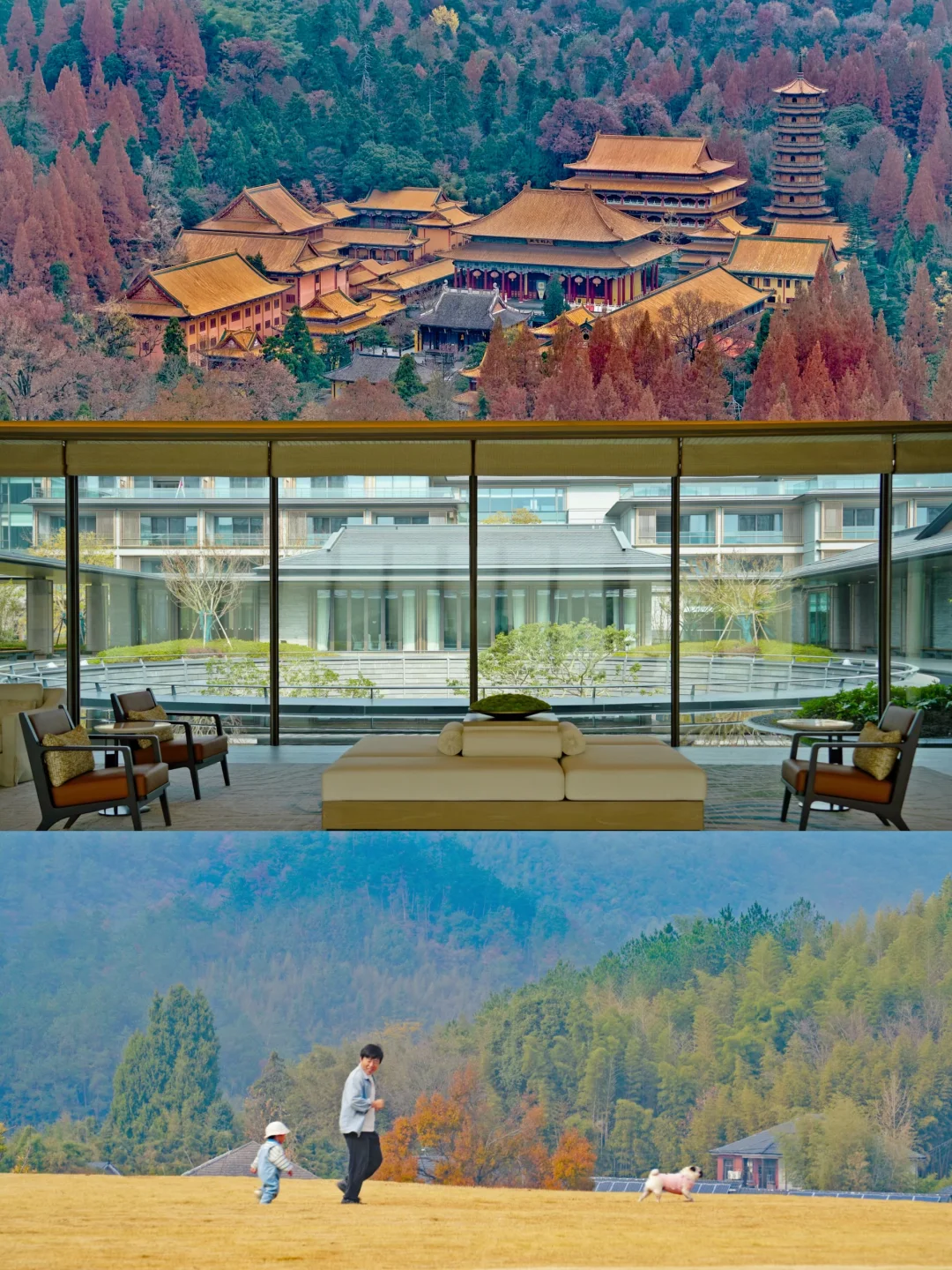 江浙沪带娃遛狗度假宝藏地❗️人少景美