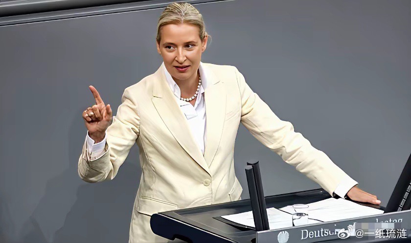 德国选择党联合主席魏德尔表示，欧洲必须承认这样一个现实，如果没有俄罗斯的参与，欧