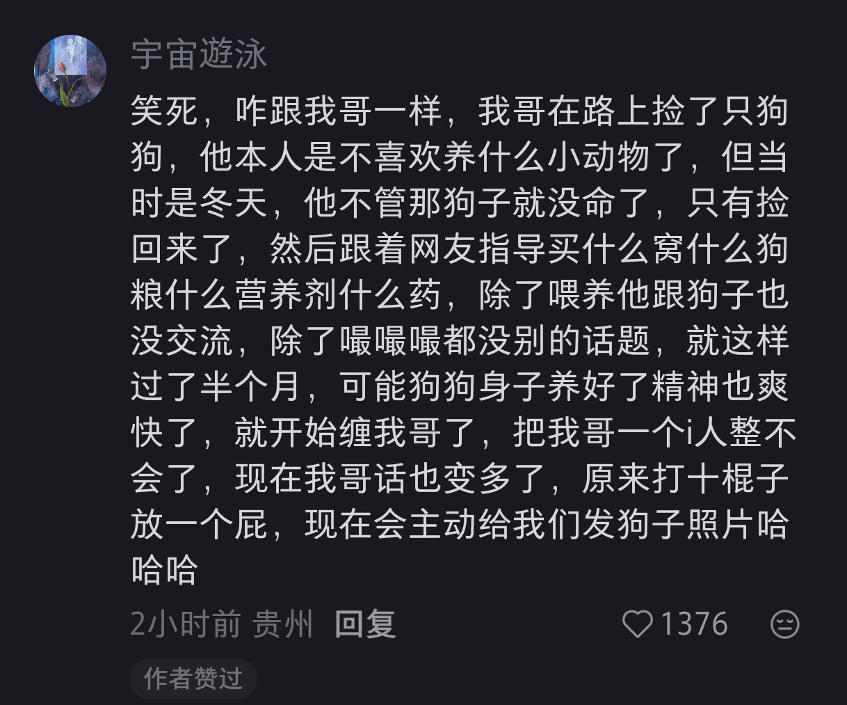 在📕看到两段i人领养流浪狗之后的同居生活，感觉很像某种意义上的『先婚后爱』感觉