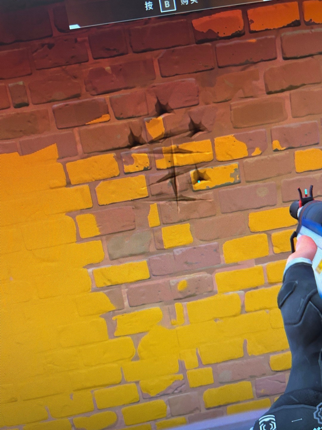 这只猪专栏·猫猫日记