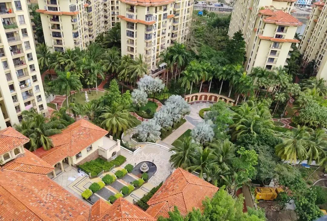 老两口被战友喊去保亭白住四天，回来把小区早市公交温差菜价全拍成视频发网上，本意帮