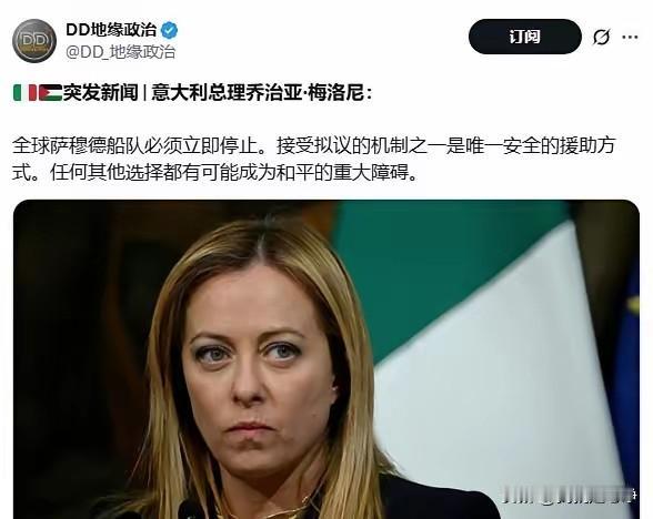 原来意大利是内奸啊。梅洛尼的真实目的并不是为了保护坚韧船队，她只是为了给以色列海
