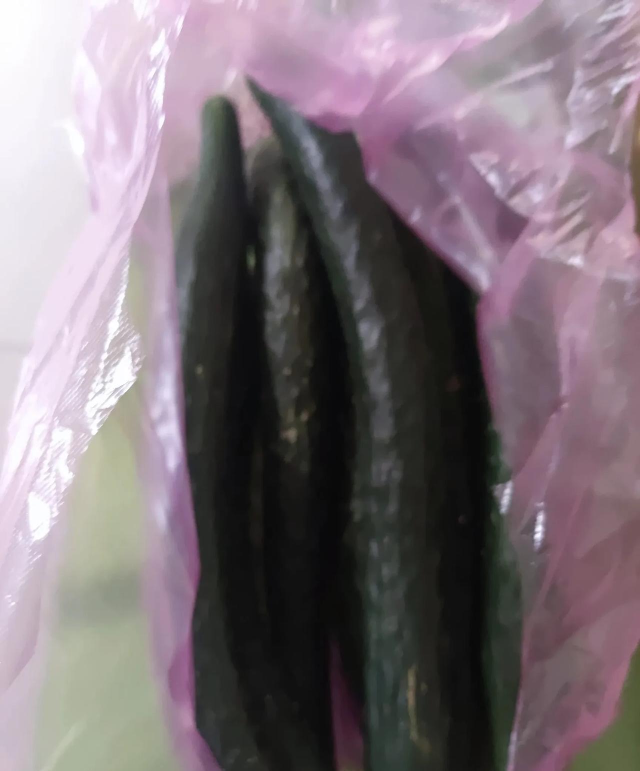 今天被卖菜老哥给上课了。中午去菜市场买菜，在一卖黄瓜的摊前站住。卖菜的