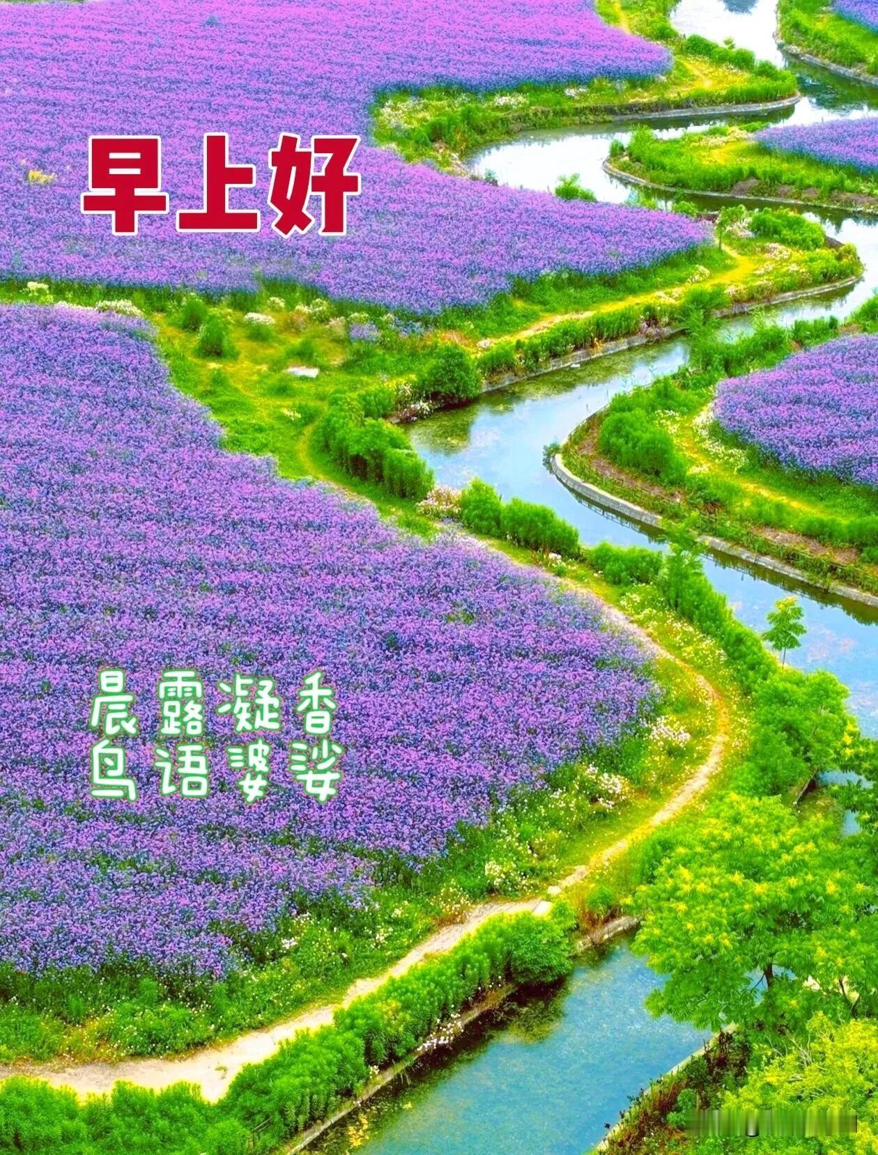 天亮啦，记得好好吃早餐，照顾好自己，平安喜乐一整天。