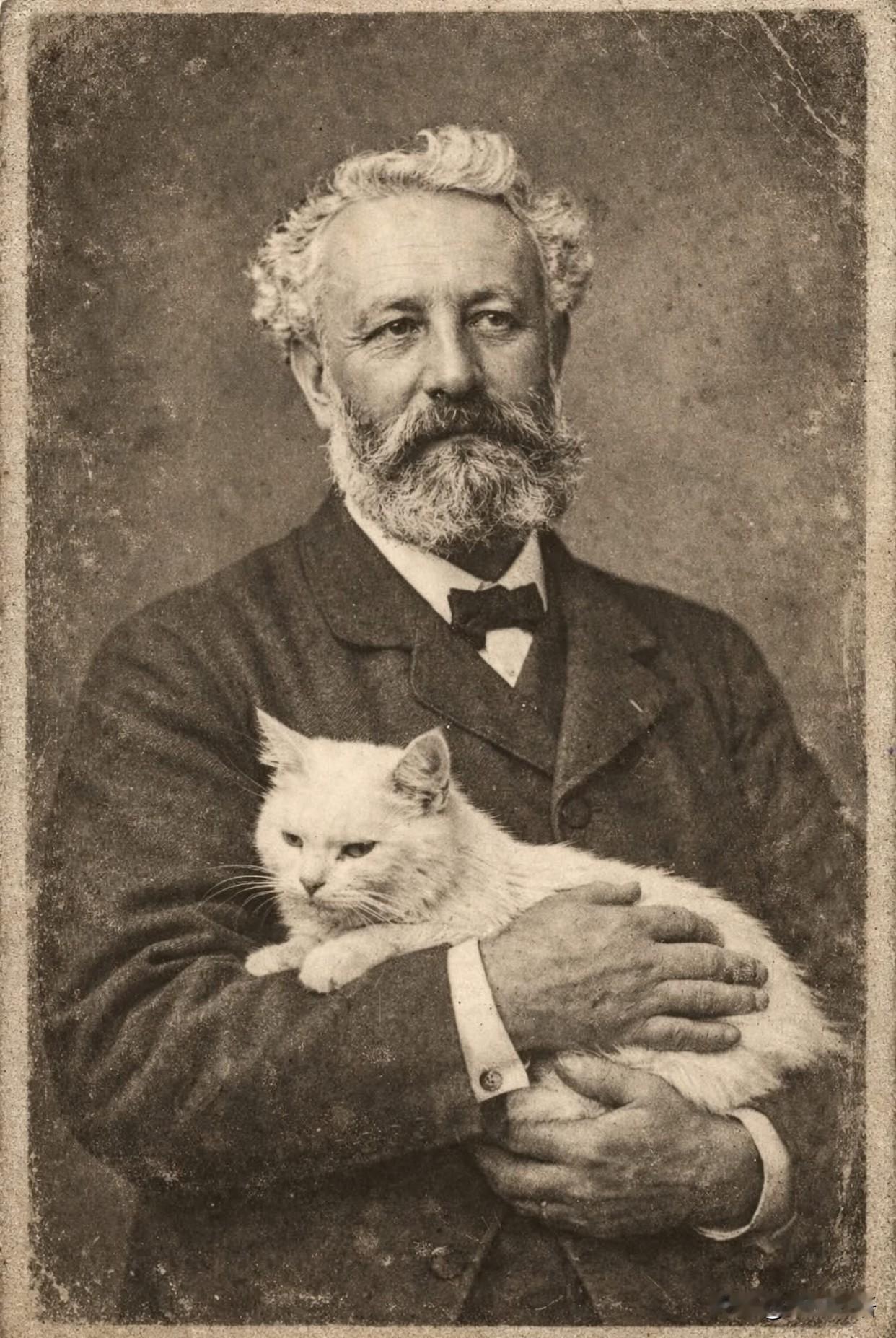 科幻小说家凡尔纳说的没错！猫真的超有灵性“猫是灵性的存在，能在云朵上行走不踩