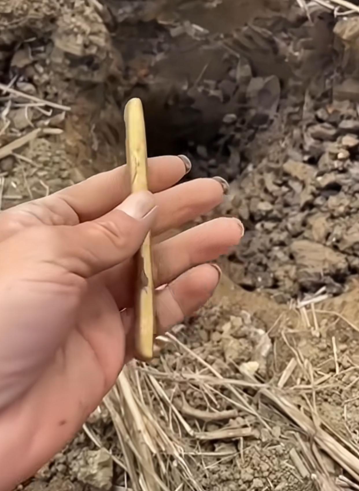 一小伙在户外挖地的时候挖到一根金条，这下可把他高兴坏了谁能想到，兴奋过后他就